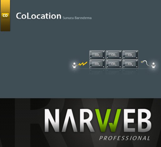 NARWEB Colocation Server Hosting