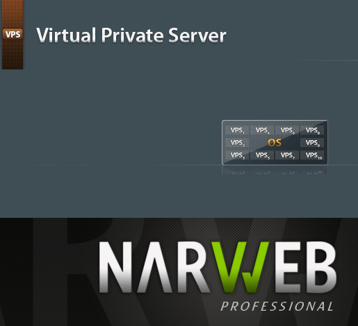 NARWEB VPS Server Hosting
